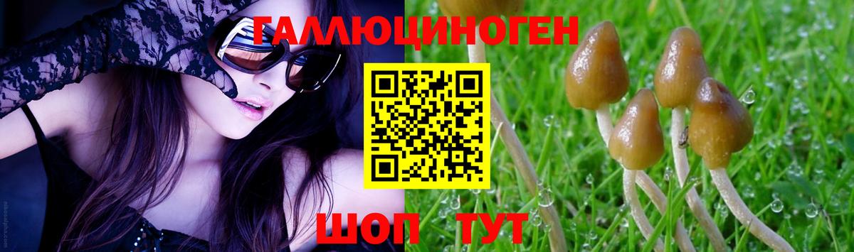 Иваново  Галлюциногенные грибы Cubensis  где можно купить наркотик  Вход с VPN 