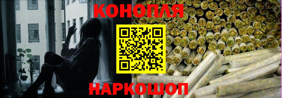 Каннабис OG Kush Иваново